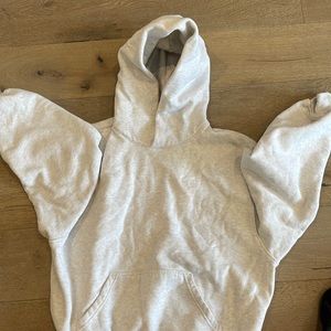 Aritzia TNA Cozy Fleece Perfect Hoodie